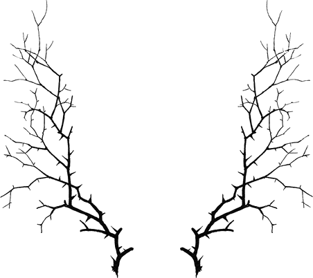 Drawn Crown Tumblr Transparent - Thorn Wings (452x402), Png Download