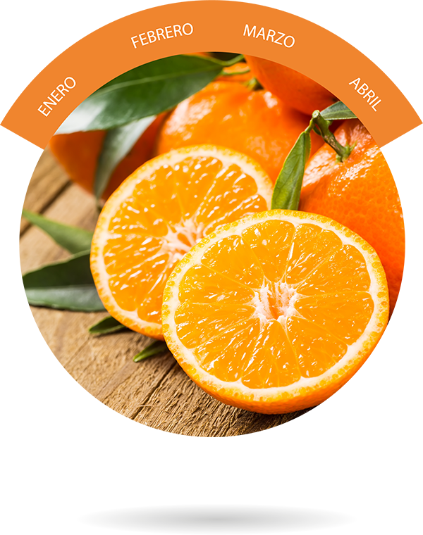 Download Naranja みかんの皮パウダー 陳皮パウダー 100g みかん 皮 陳皮 パウダー 粉末 花粉 メール便 Png Image With No Background Pngkey Com