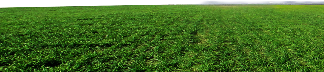 Land Vector Background Graphic Library Library - Green Land Background Png (1106x410), Png Download