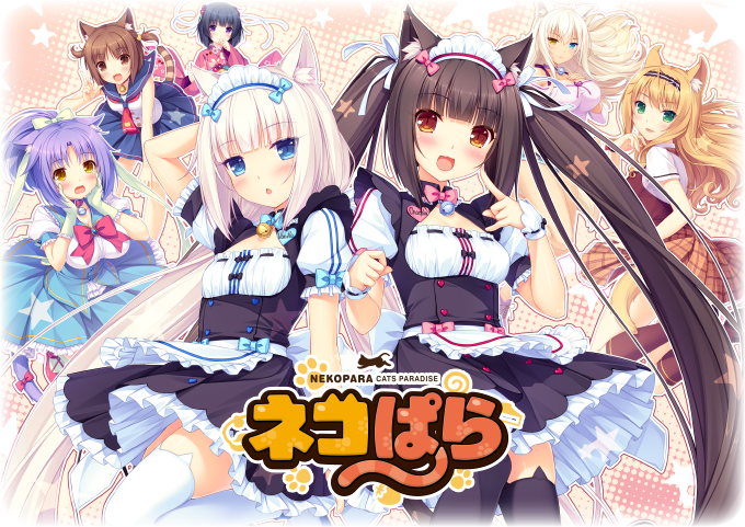 Anime Neko Girls Group (680x481), Png Download