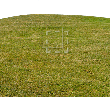 Grass On Hill - Grass (450x450), Png Download