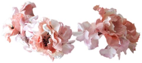 Tumblr Transparent Flower Crown Download - Flower Crown Meme (500x256), Png Download