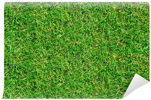 Download Green Grass Background PNG Image with No Background 