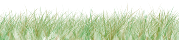 Si Pendek Berceloteh - Grasses (600x400), Png Download