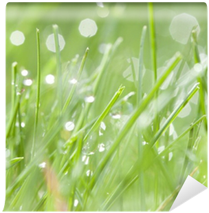 Go To Image - Water (400x400), Png Download