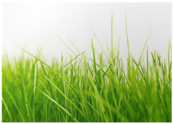 Wallpaper (400x400), Png Download