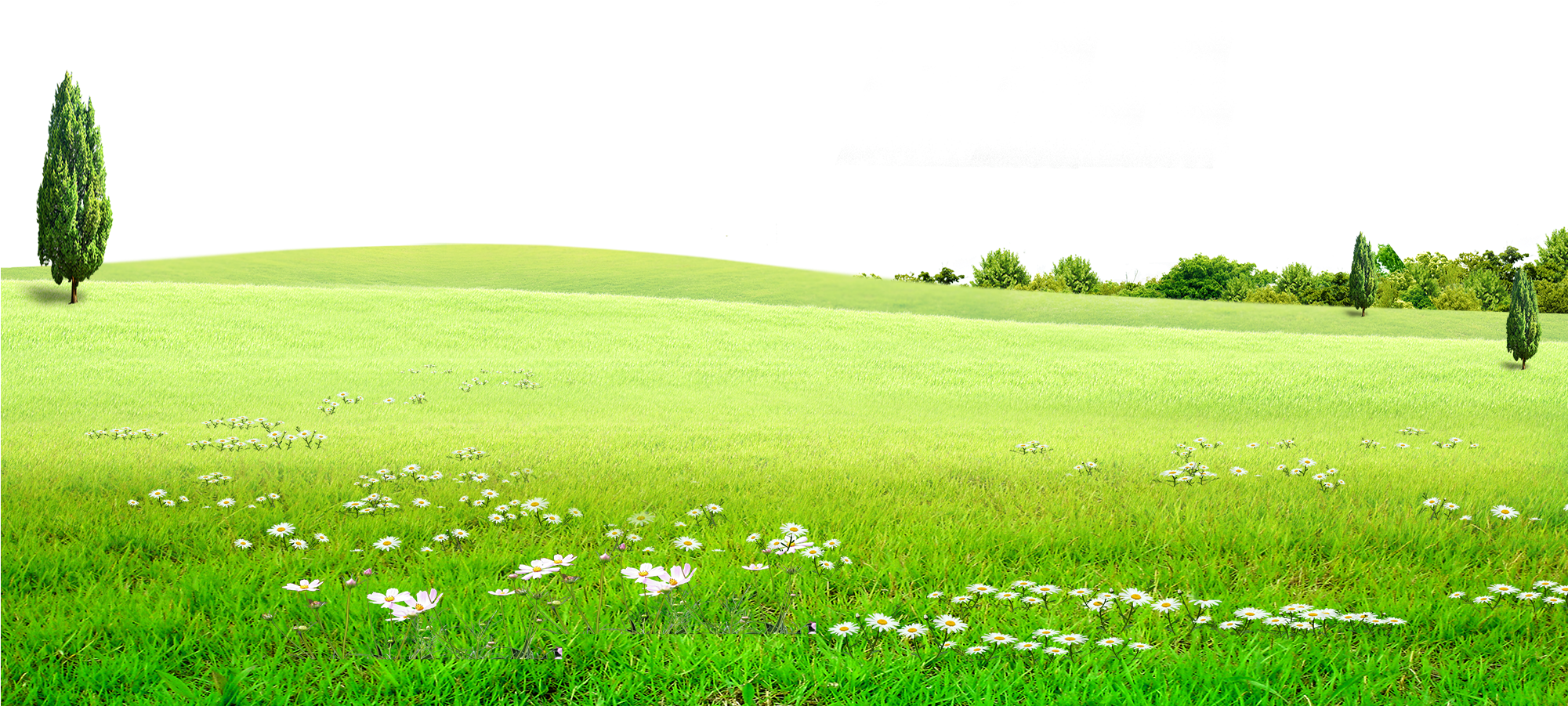 Graphic Stock Land Grassland For Free Download On - Green Grass Background Png (2000x1314), Png Download