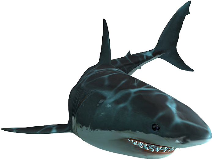 Jaws Unleashed Shark - Jaws Unleashed Great White Shark (800x600), Png Download