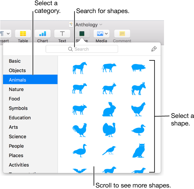 Hacer Esquemas En Pages (646x632), Png Download