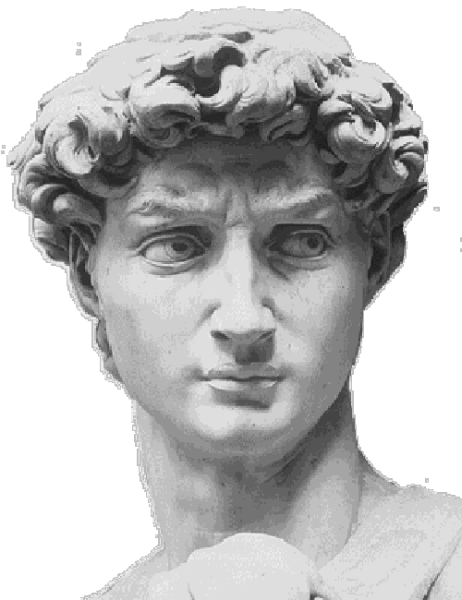 Story Image 1 - David Statue Face (462x600), Png Download