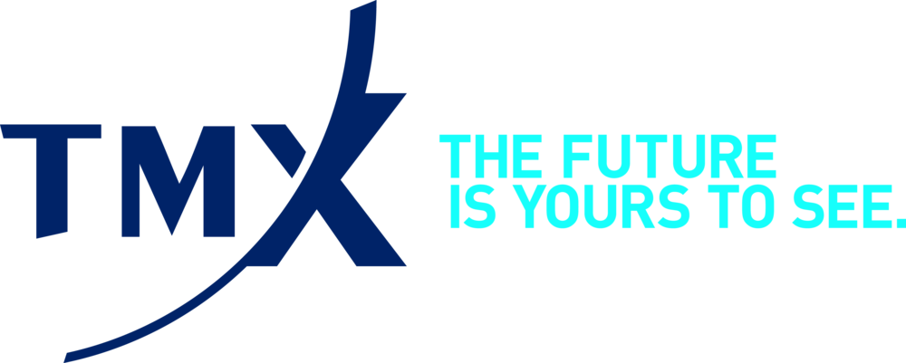 Tmx Group (1000x401), Png Download