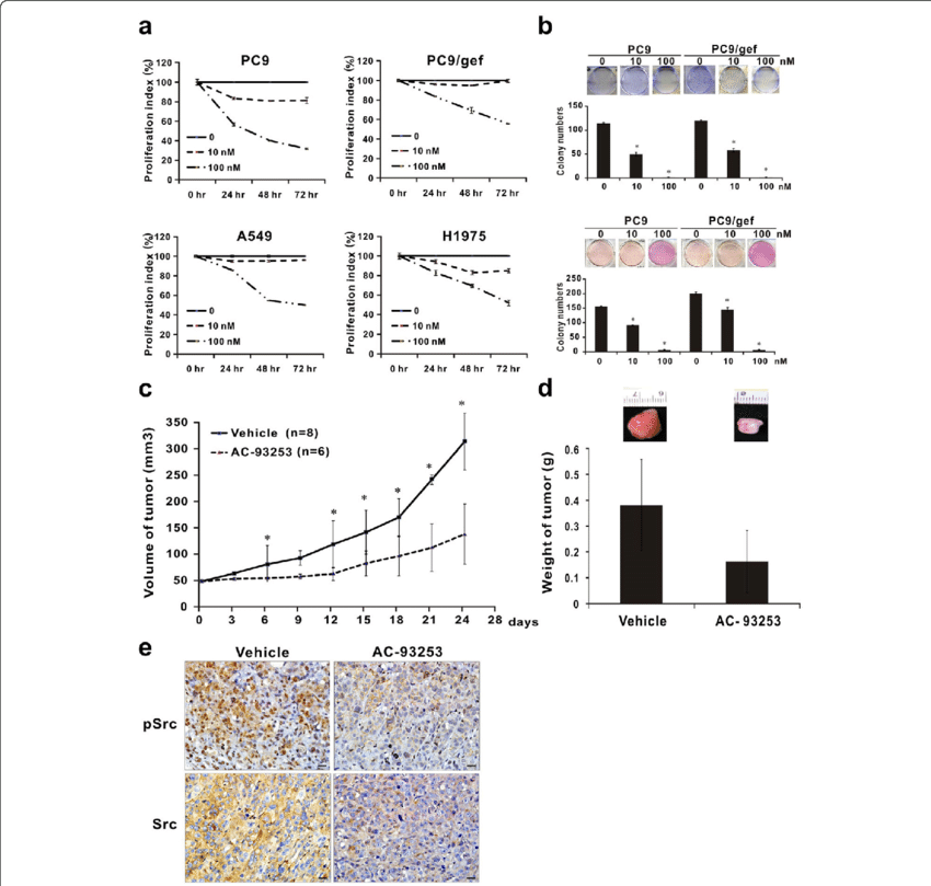 Suppressive Effects Of Ac 93253 Iodide On Tumor Cell - Illustration (850x809), Png Download