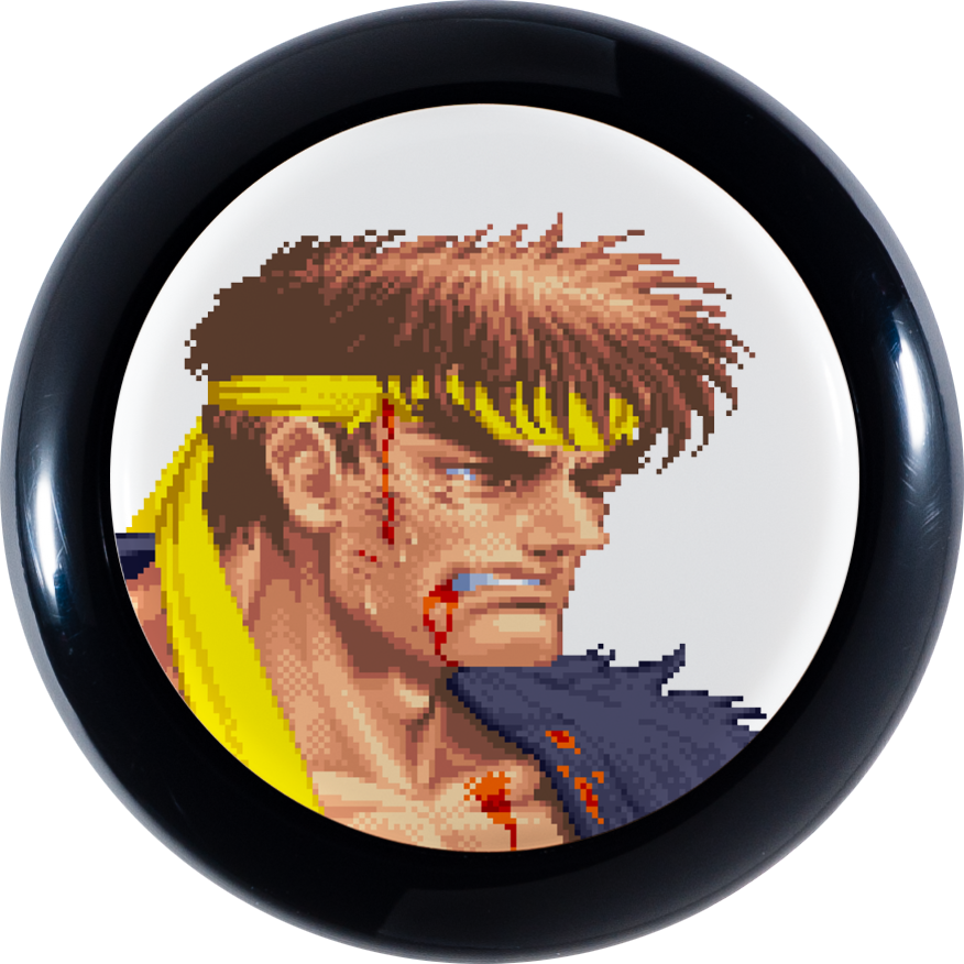 By Picking Up One Of These Https - Loss Portraits Street Fighter (876x876), Png Download