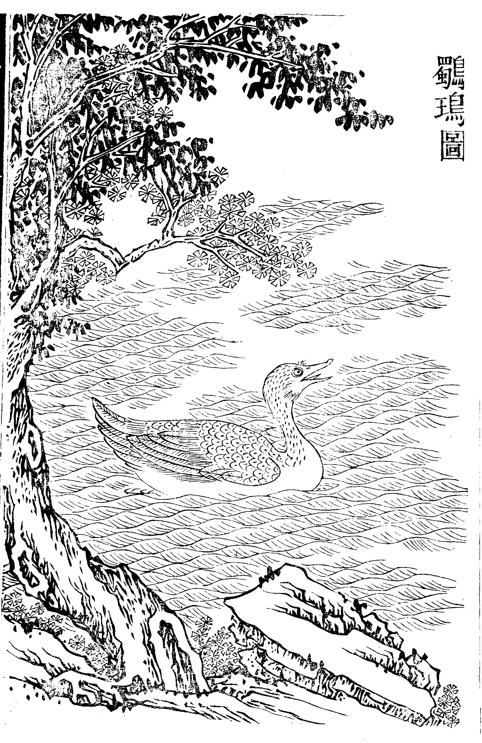 File - Imperial Encyclopaedia - Animal Kingdom - Pic061 - Drawing (1638x2526), Png Download