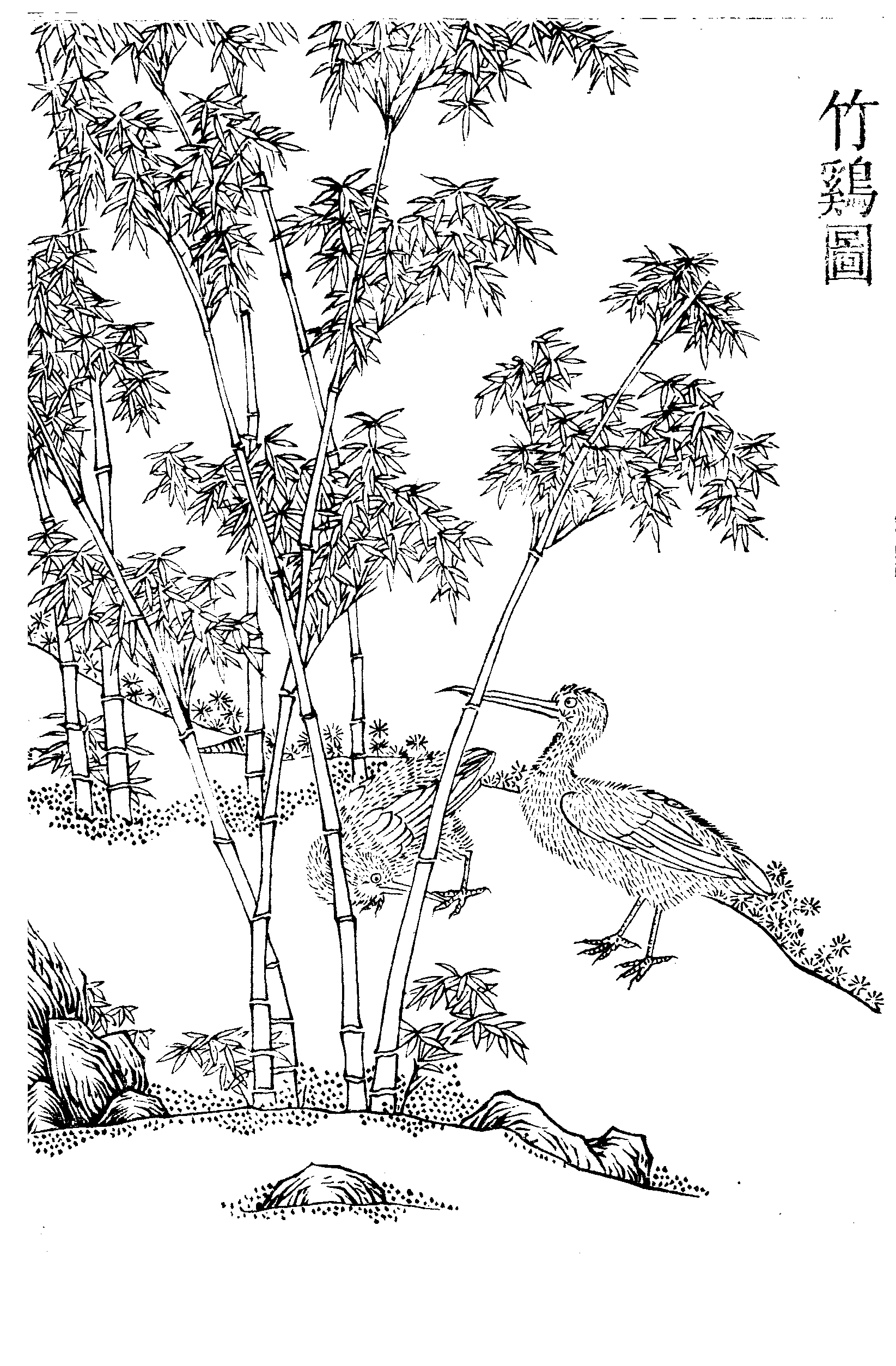 File - Imperial Encyclopaedia - Animal Kingdom - Pic040 - Line Art (1645x2508), Png Download