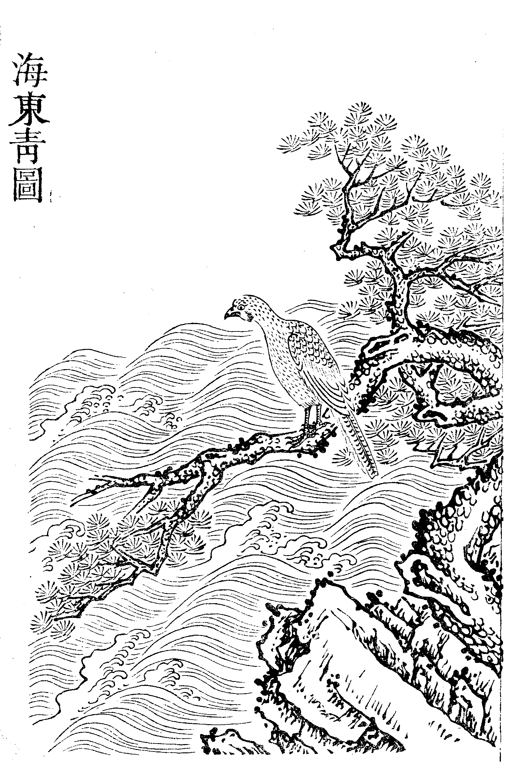 File - Imperial Encyclopaedia - Animal Kingdom - Pic008 - Illustration (1670x2507), Png Download