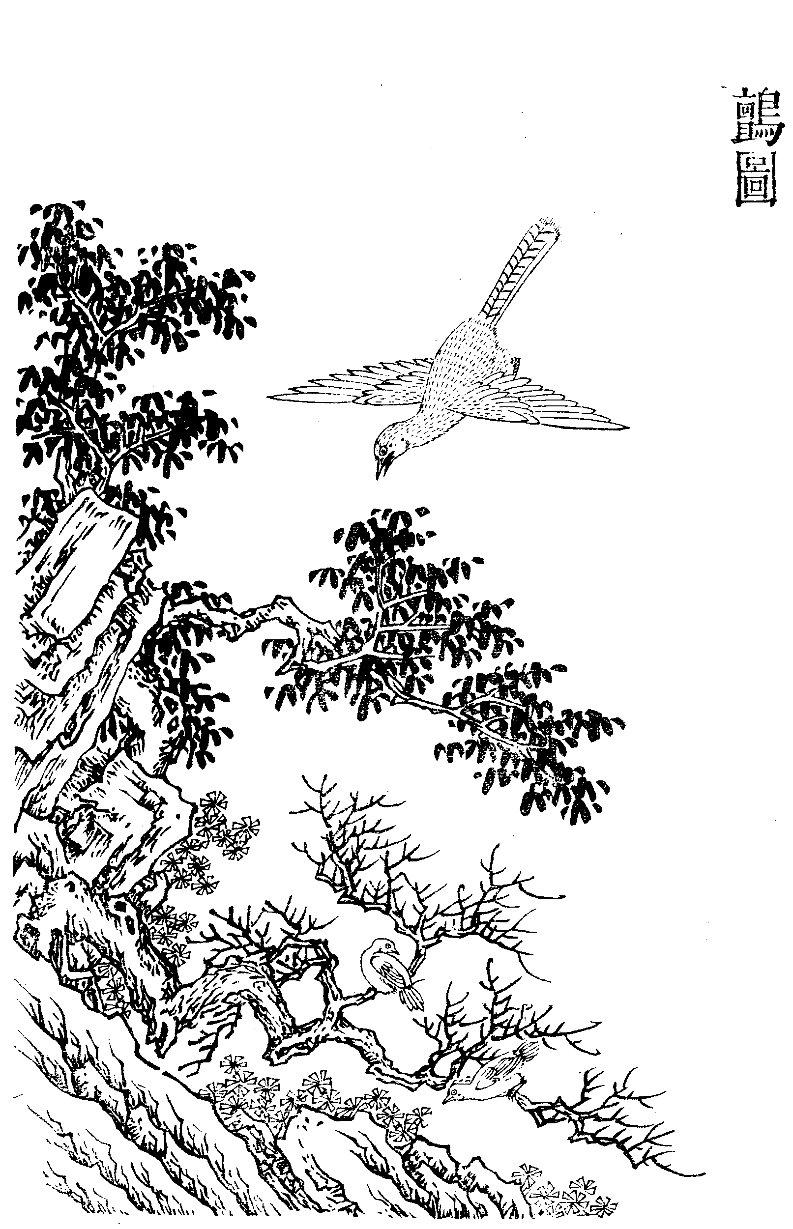 File - Imperial Encyclopaedia - Animal Kingdom - Pic013 - Illustration (1613x2501), Png Download