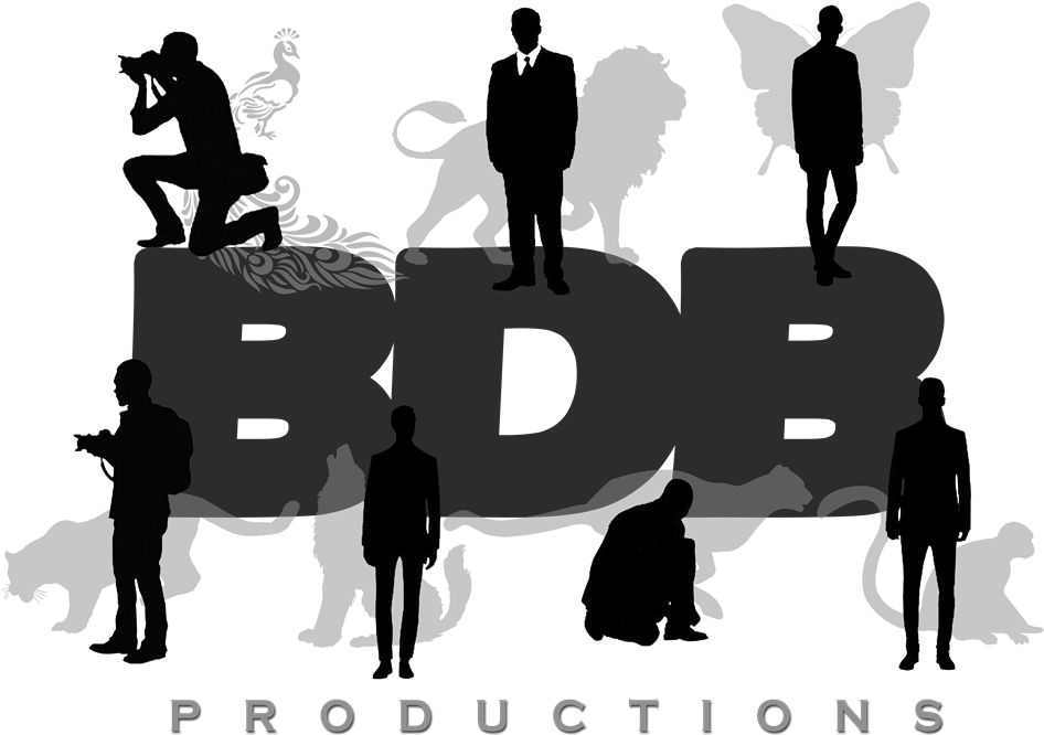 Banner Photo By Franckie Francois - Silhouette (1024x707), Png Download