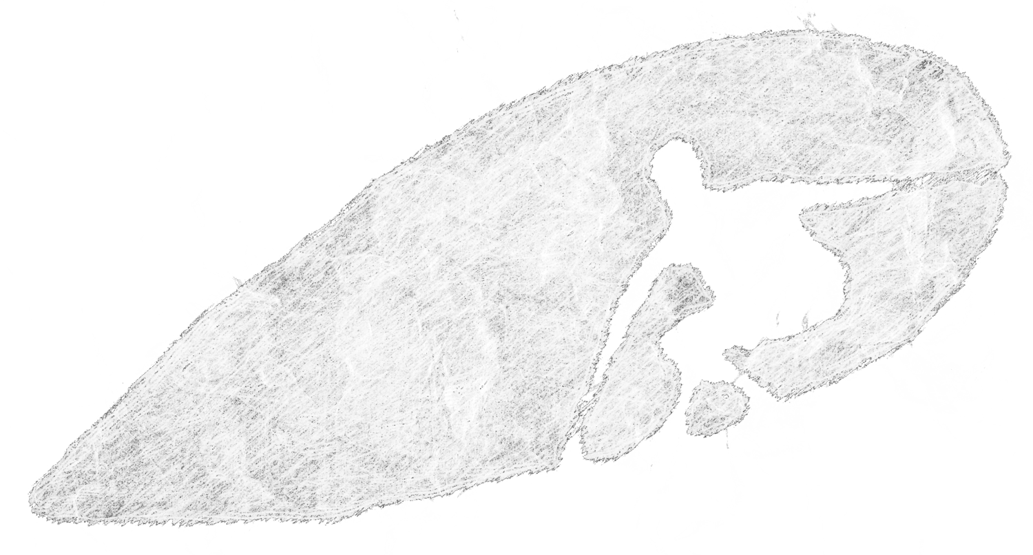 Christiansurfers Competitors, Revenue And Employees - Shadow (1500x806), Png Download