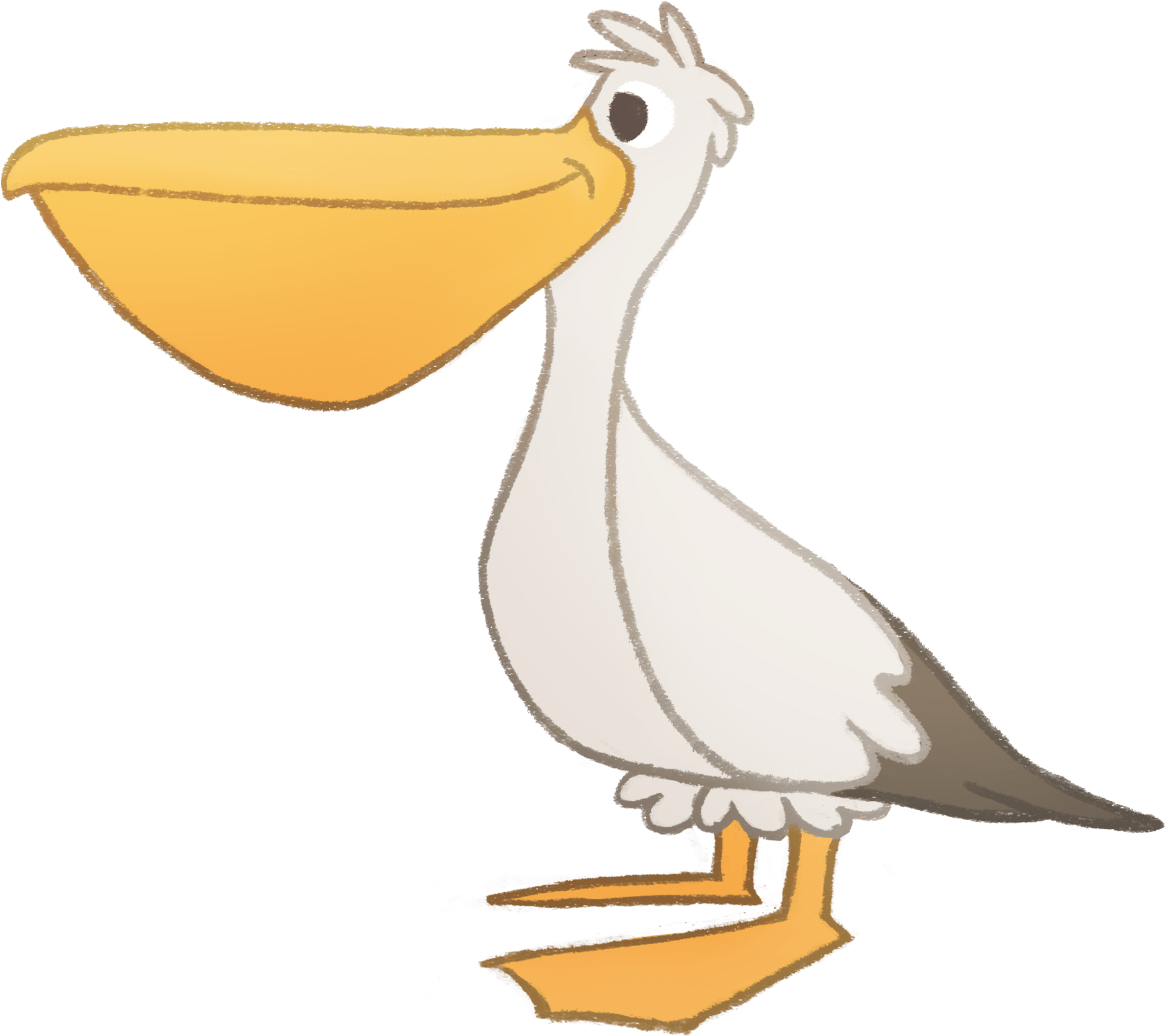 About Us - Duck (2000x2000), Png Download