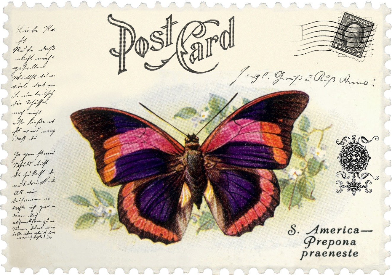 Juno Ccrl Your King Is Comingjuno Vintage Butterfly - Stampers Anonymous Tim Holtz Cling Rubber Stamp Set, (1458x1048), Png Download