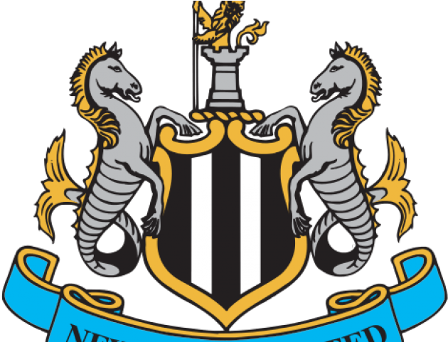 Norwich City F - Newcastle United Vs Fulham (640x480), Png Download