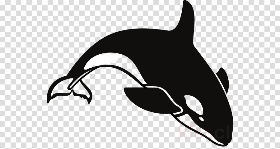 Download Hand Silhouette Png Clipart Clip Art Illustration - Killer Whale Cartoon Png (900x480), Png Download