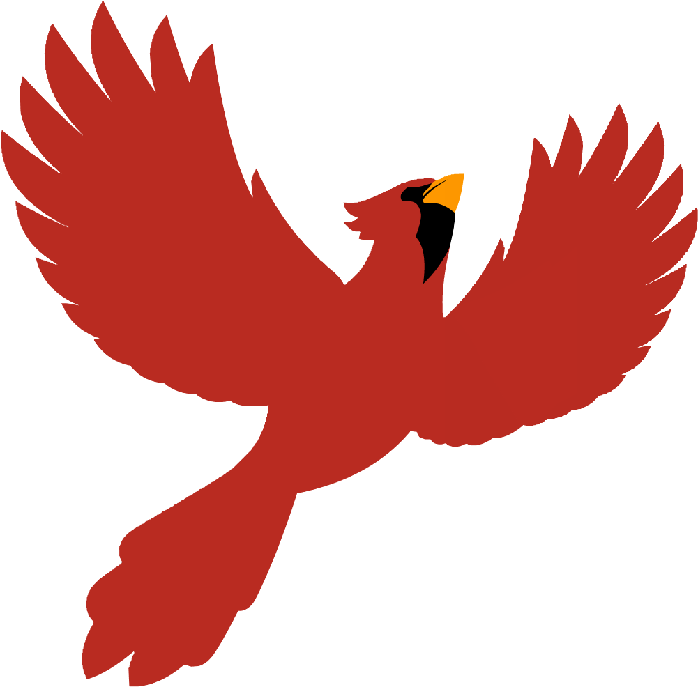 Apnc Color - Bird (1183x1183), Png Download