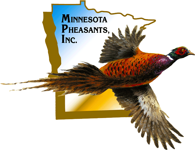 Get In Touch - Minnesota (694x694), Png Download