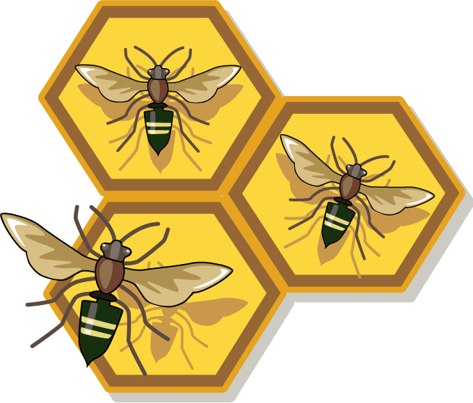 Honeycomb - Honey Bee Free Clip Art (680x580), Png Download
