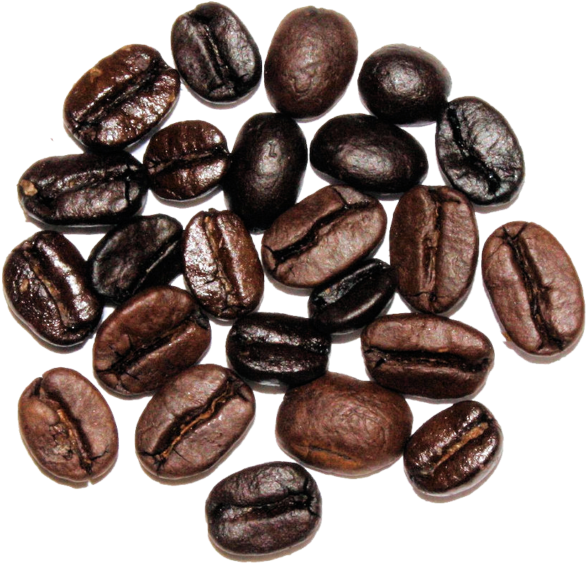 The Cultured Cup® - Holiday (1024x1024), Png Download