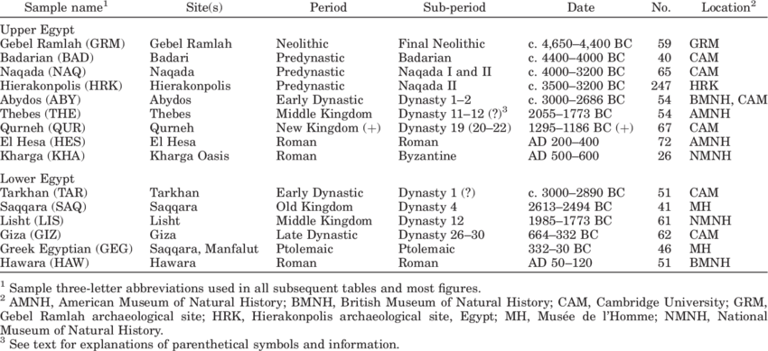 Egyptian Dental Samples - Ancient Egypt Dental Irish Jd (850x389), Png Download