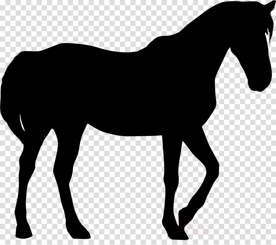 Goat Silhouette Clipart Anglo-nubian Goat Nigerian - Horse Silhouette Png (900x800), Png Download