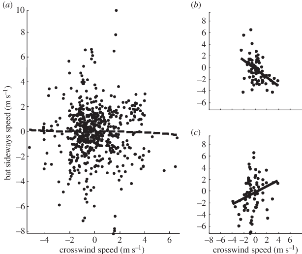 Relationship Between Bat Sideways Speed And Crosswind - Flight (614x516), Png Download