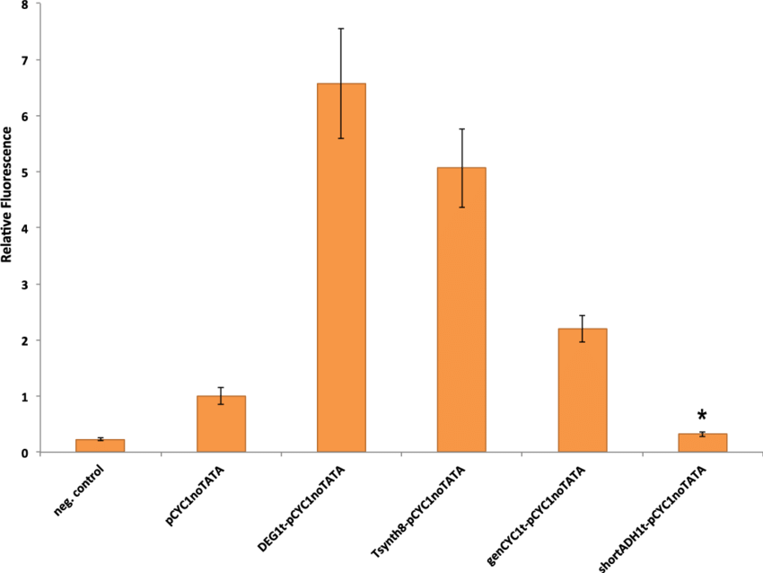 Characterization Of Synthetic Promoters Made Of A Terminator - Common Fig (850x638), Png Download