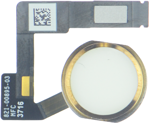 Ipad Pro - Ipad Pro (12.9-inch) (2nd Generation) (1200x1200), Png Download