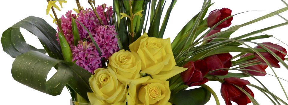 Blog - Bouquet (1000x350), Png Download