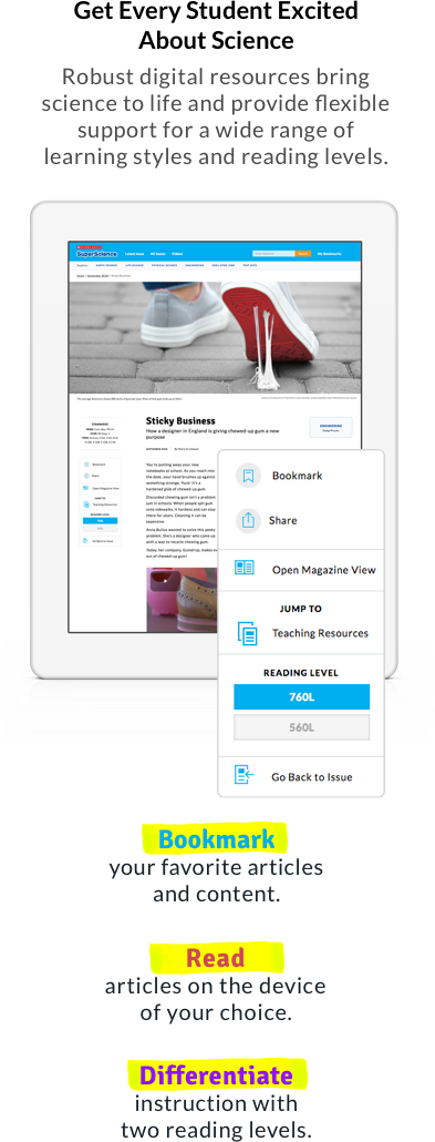 Mobile Image Desktop Image - Mobile Image (393x1030), Png Download