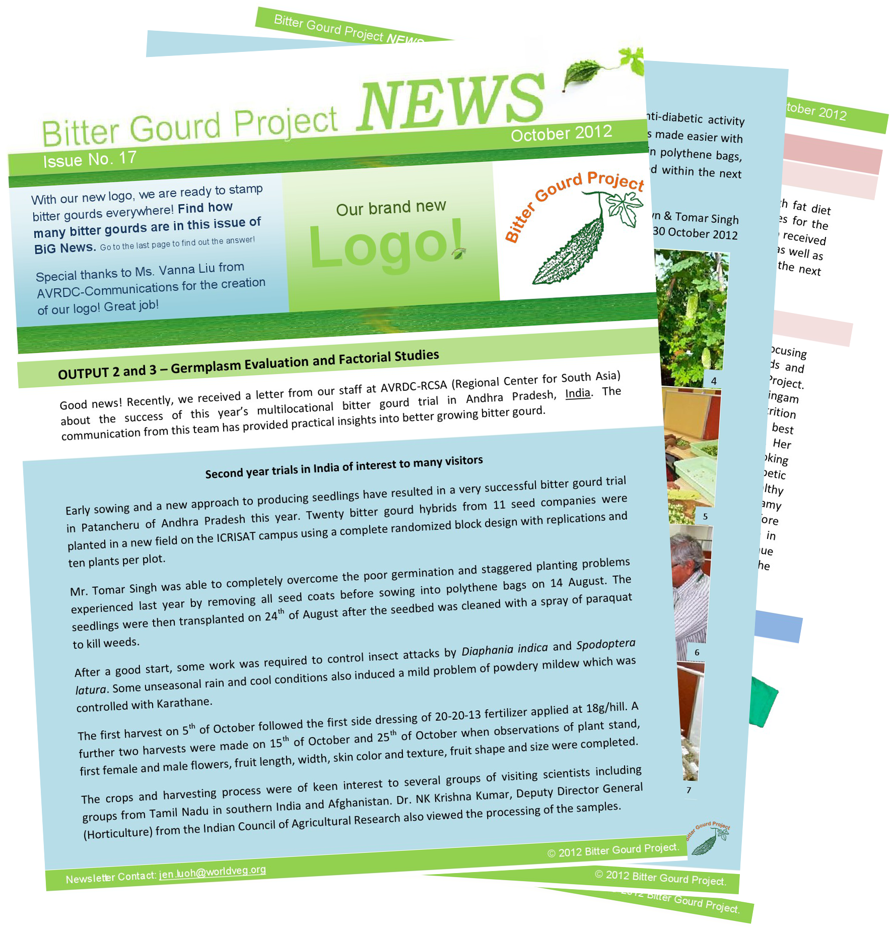 Find The Bitter Gourds In This Month's Issue Of Big - Flyer (1821x1900), Png Download