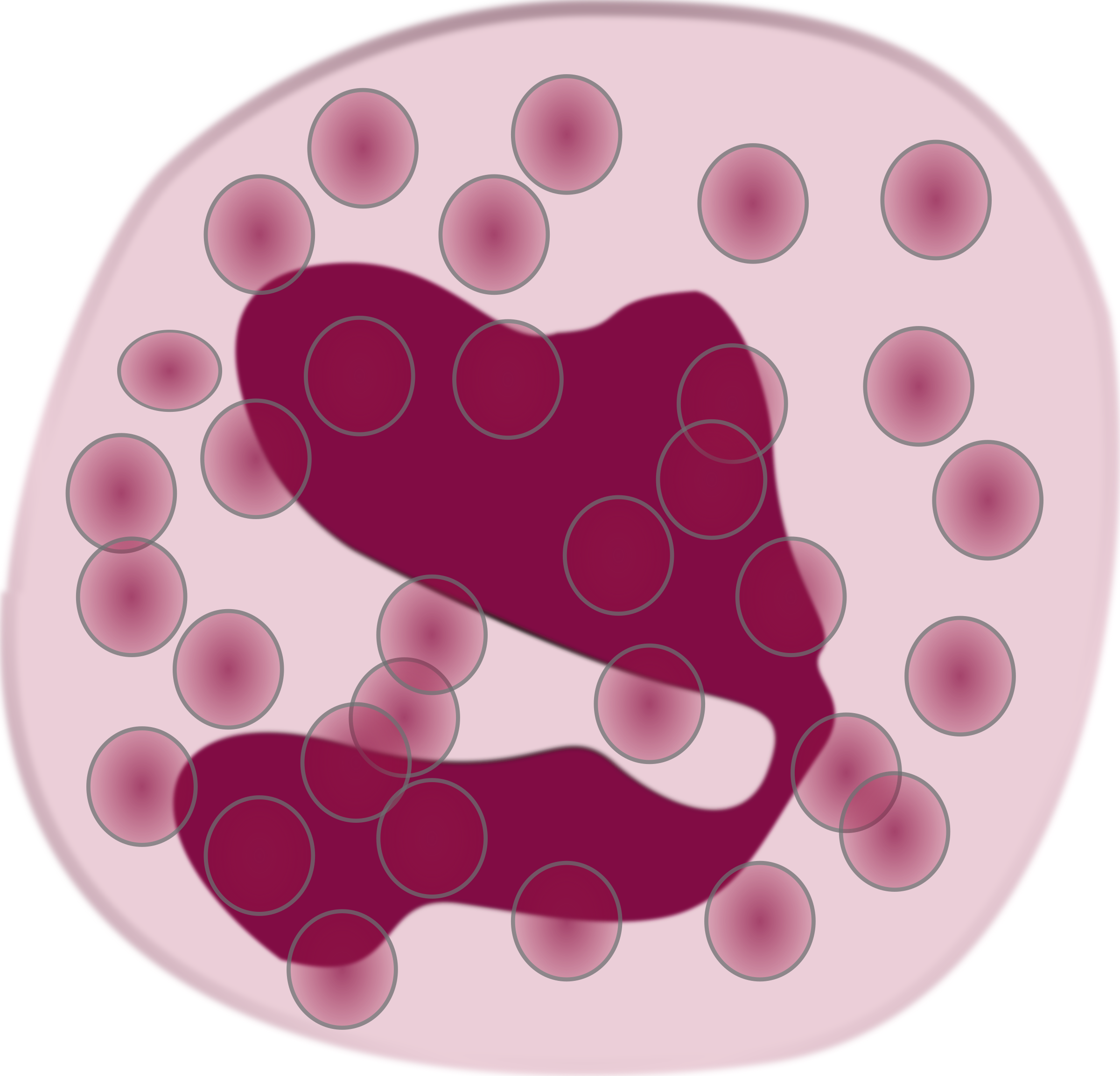 White Blood Cell Eosinophil Neutrophil Immune System - Eosinophil Clipart (780x750), Png Download