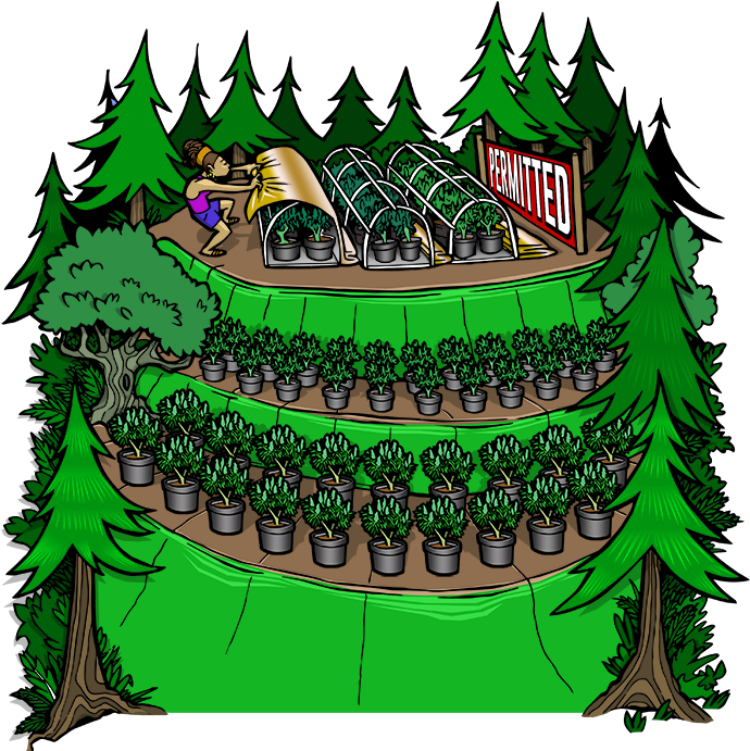 Mountain Top Biggest - Illustration (700x700), Png Download