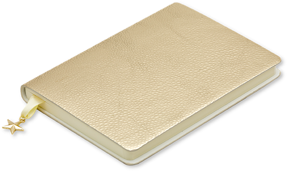 Light Gold - A6 Notebook - 摺疊 砧板 (800x800), Png Download