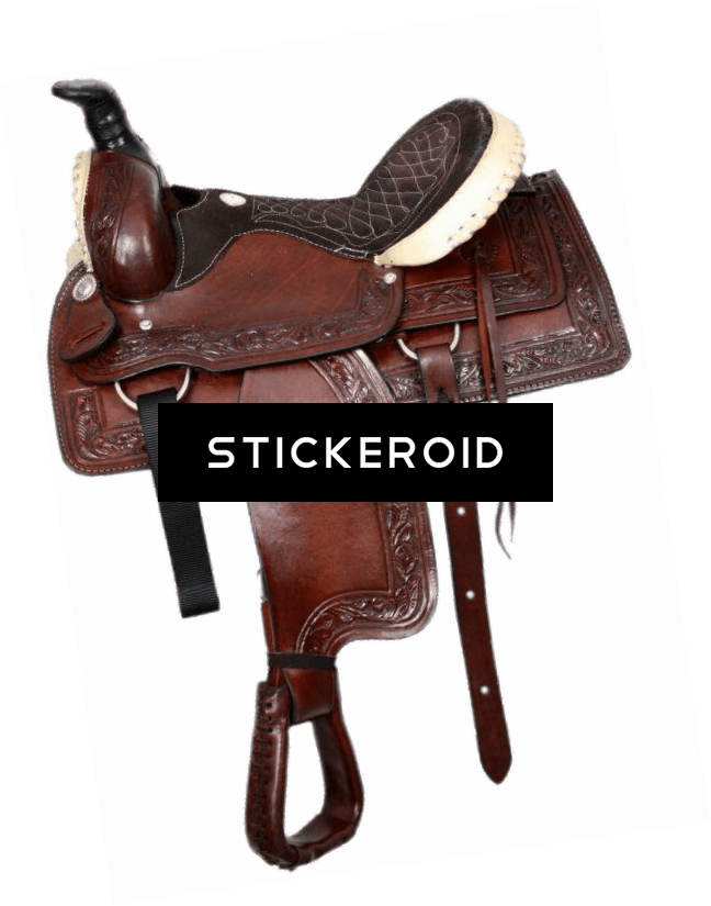 Western Trail Saddle - Buffalo Roper Style Saddle With Rawhide Silver Laced (648x825), Png Download
