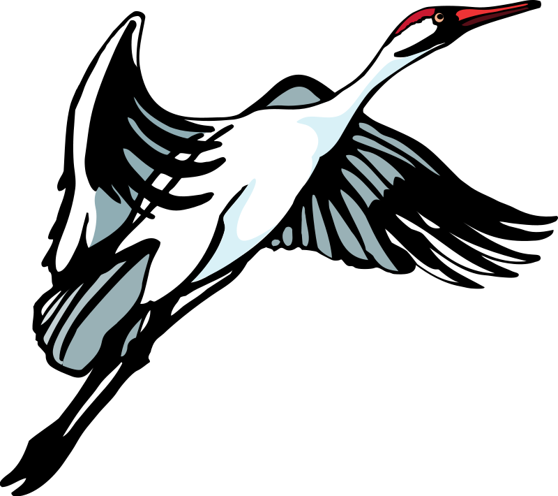 Download Bird 34 Free Vector Freed To Love Healing For Catholic