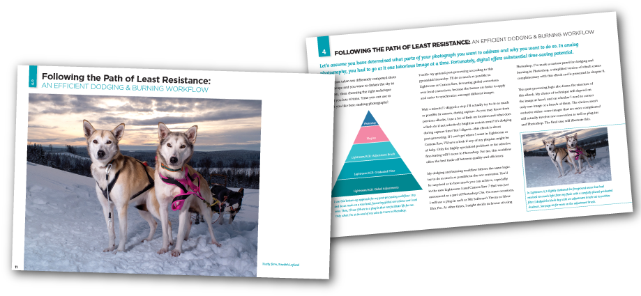 Piet Van Den Eynde Edith Levy Photography Flashes Eynde - Digitale Fotografie Op Reis (918x439), Png Download