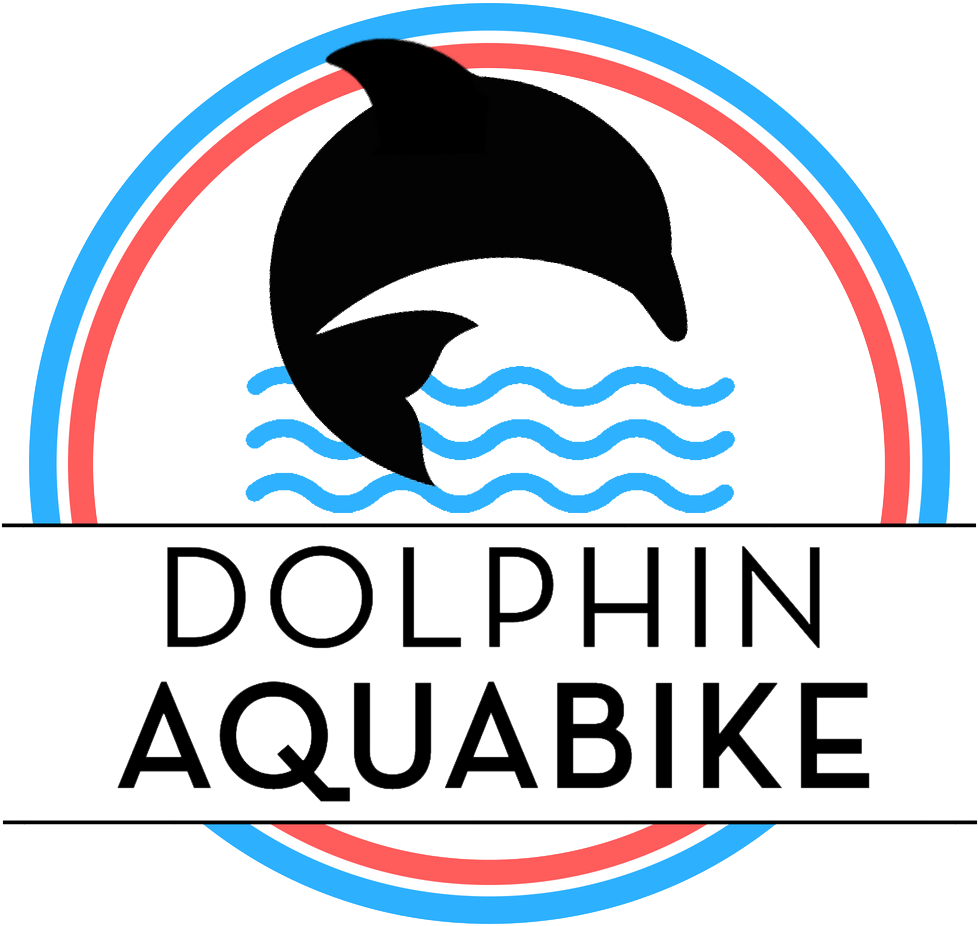 Logo - Wholphin (1080x1080), Png Download