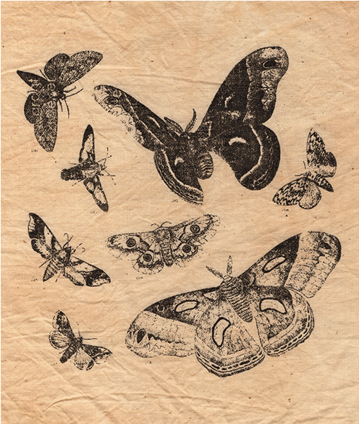 Moth-patch - Evanescence Bring Me To Life (1000x700), Png Download