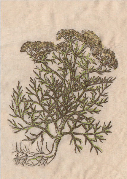 Patch Five 1 - Motif (1000x700), Png Download