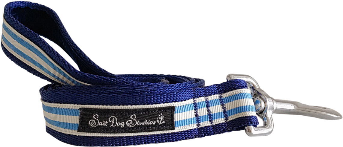 Light Blue Stripe Ribbon Dog Lead - Webbing (1280x923), Png Download