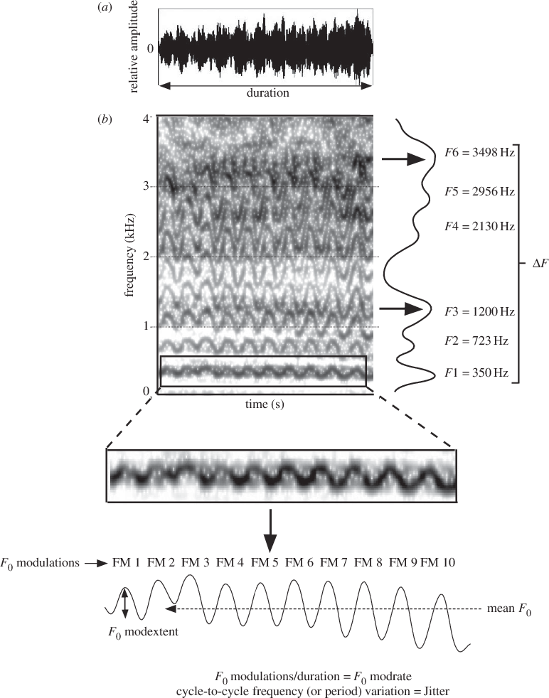 Waveform And (b) Spectrogram To Illustrate The Acoustic - Spectrogram (772x982), Png Download